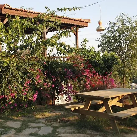 Nyaraló Bedya House